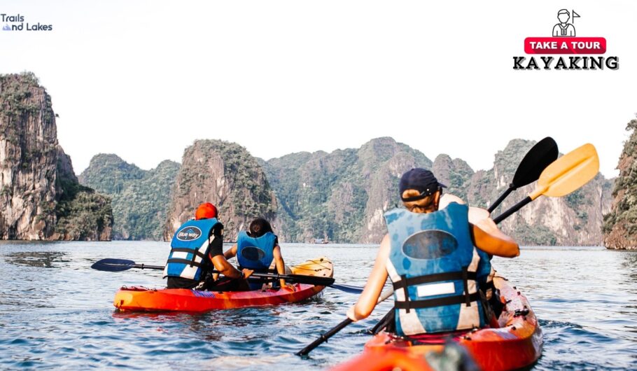 Guided Kayak Tour