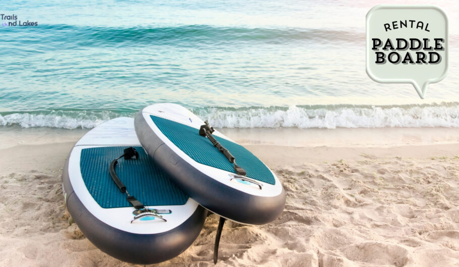 Paddle Board Rentals