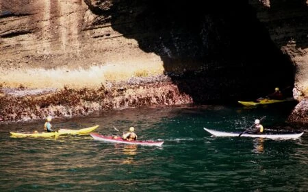 Exploring Alabama’s Nocturnal Wonders: Kayaking with Bats in Alabama