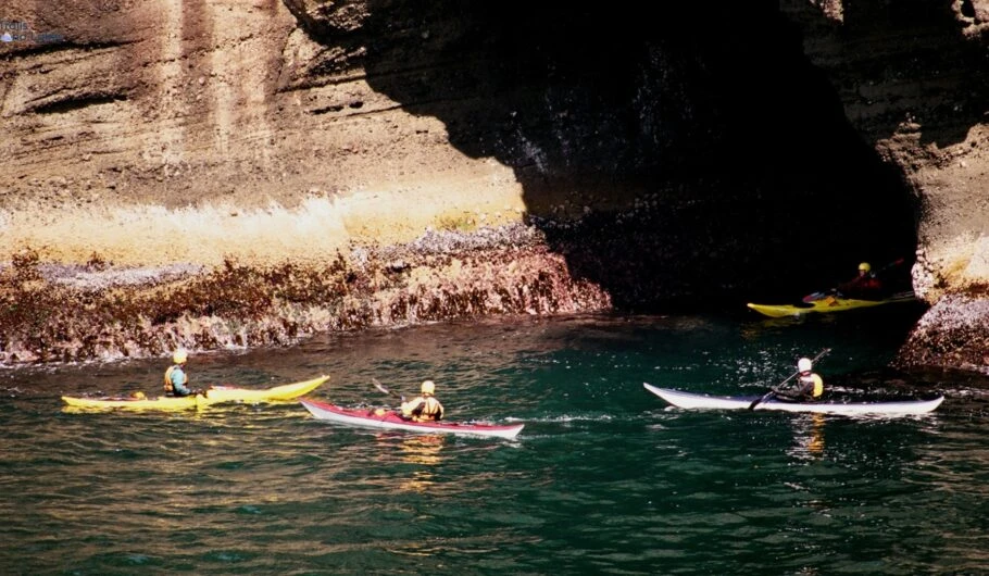 Exploring Alabama’s Nocturnal Wonders: Kayaking with Bats in Alabama