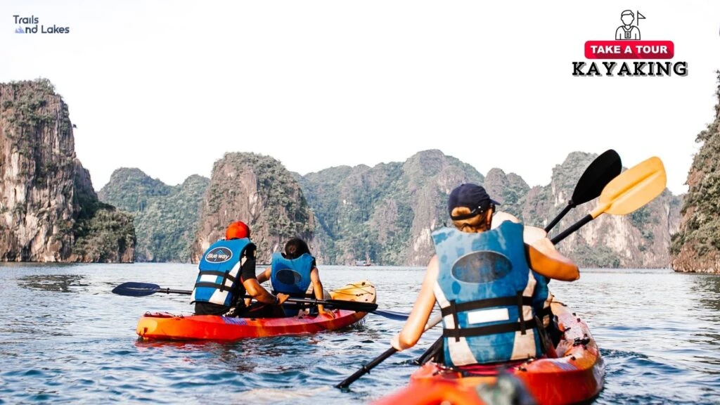 Guided Kayak Tour
