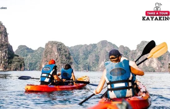 Guided Kayak Tour
