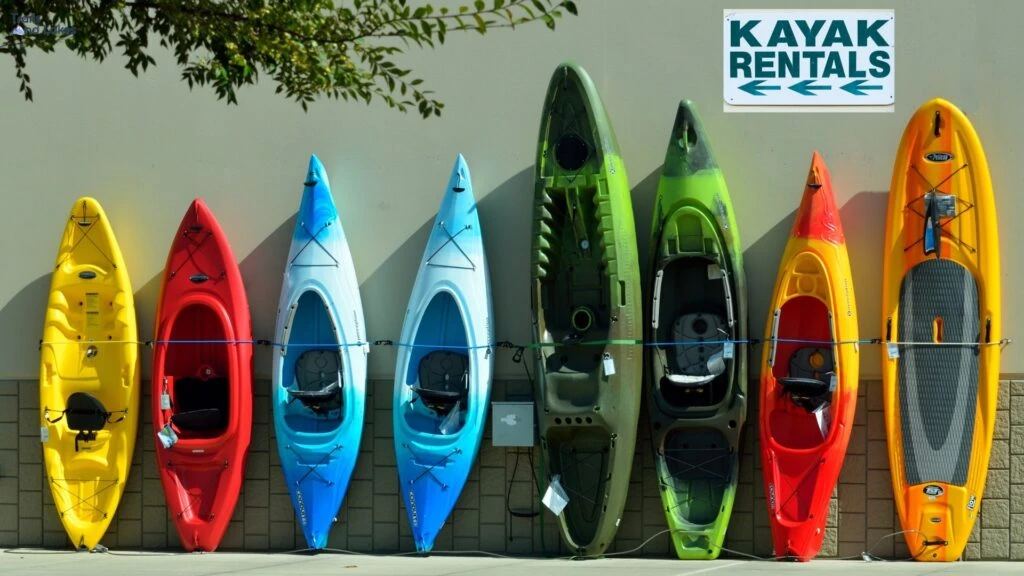Kayak Rentals
