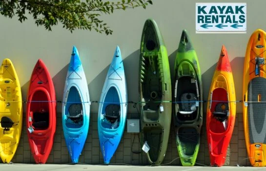 Kayak Rentals