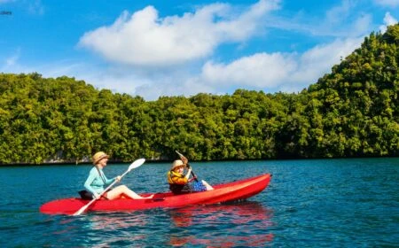 Exploring Florida's Mangrove Marvels On Kayaks and Paddleboards