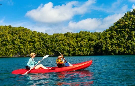 Exploring Florida's Mangrove Marvels On Kayaks and Paddleboards