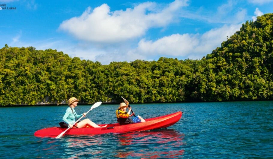 Exploring Florida's Mangrove Marvels On Kayaks and Paddleboards