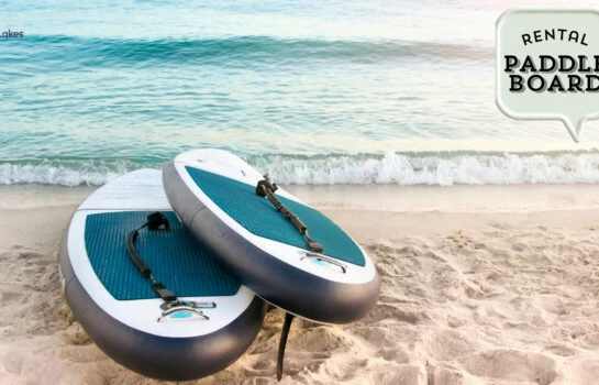 Paddle Board Rentals