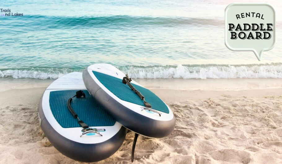 Paddle Board Rentals